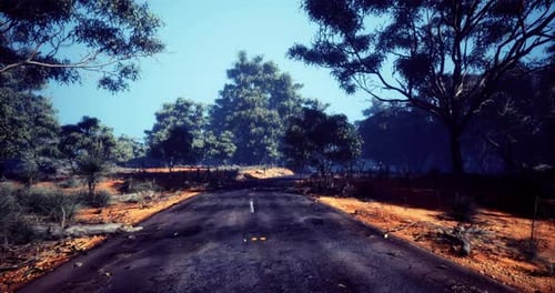 Mysterious Road Winding Through a Vivid Forest Under a Bright Blue Sky