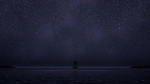 Amazing Starry Sky Over Sea At Night