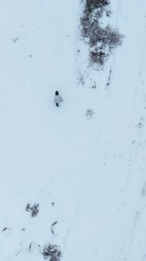 Vertical Video Overhead Capture of Wintry Forest and Snowy Mountain Ranges