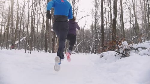 Young Man and Woman Synchronously Running in Winter Forest Morning