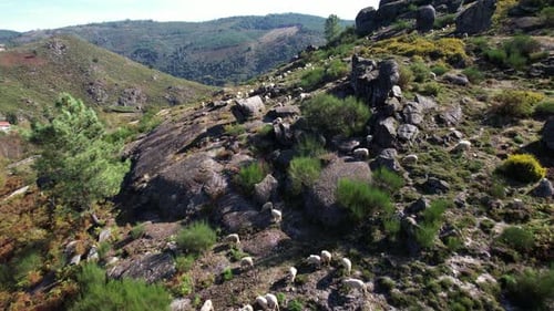 Vista aérea da natureza nas montanhas