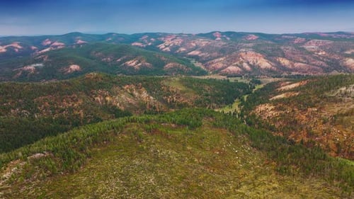 Flying above the amazing mountainous landscape covered with pine tree forests.