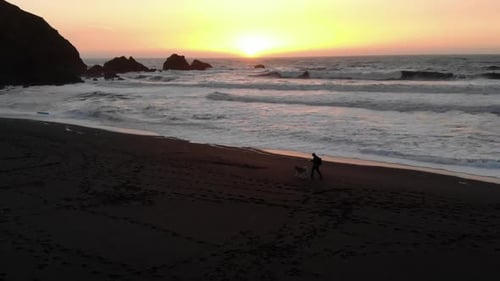 A moody footage of a man and a dog walking on the beach during sunset.