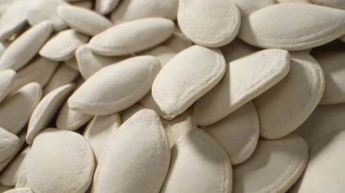 Pile of Fresh Pumpkin Seeds in Close Up