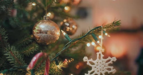 Christmas Tree Decorated with Ornaments and Lights