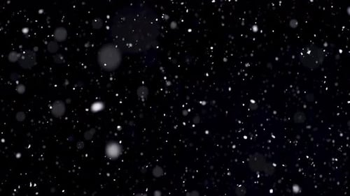 Falling White Snow Glittering Against Black Background