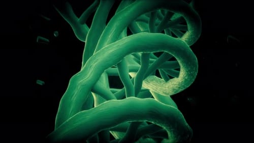 DNA Molecule Science, double helix strands, biological genetic heritage concept