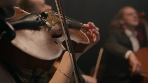 String Musicians Playing Music at Concert