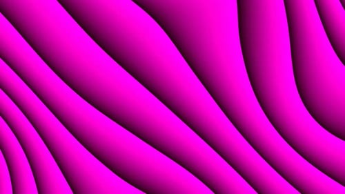 Dynamic Magenta Wavy Lines Abstract Motion Background