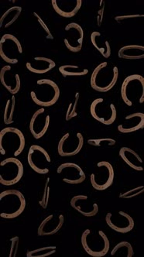 Rotating Horseshoes Falling Down Seamless Vertical Loop