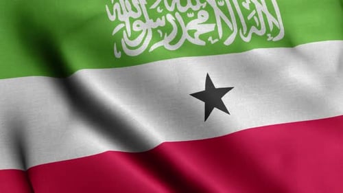 Realistic Waving Somaliland Flag with Fabric Texture Animation
