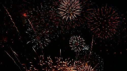 Hermosa celebración abstracta colorida exhibición de fuegos artificiales en el fondo nocturno