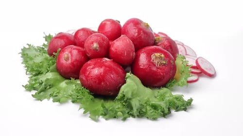 Ganzer Bio-Rettichhaufen mit üppigem frischem grünem Salat, isoliert auf weißem Grund