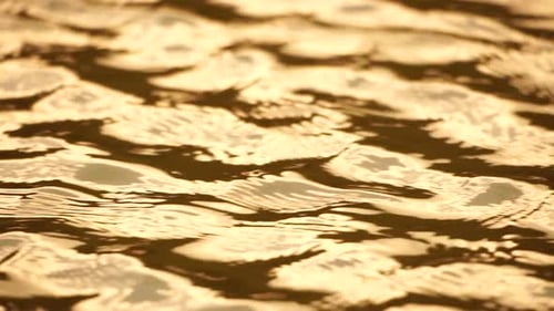 Sun Reflecting on Sparkling Sea Lake Water Surface Ocean at Sunset Sunrise Sunrays Flickering in