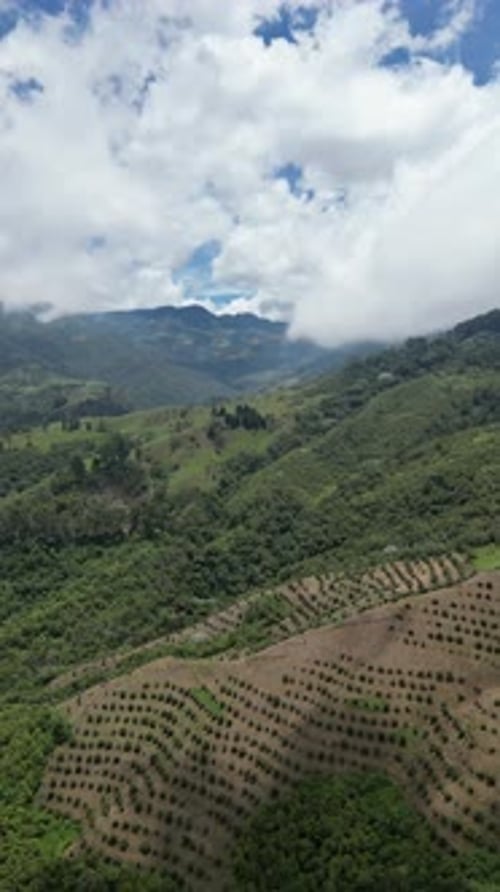 Aerial video over Salento towards a lush forested valley in the mountains of Colombia, Colombia