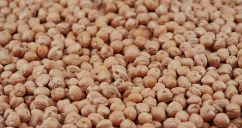 Food Background From the Texture of Raw Chickpeas Close-up Rotating, Selective Focus