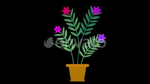 Flat Design Growing Plant with Blooming Flowers Animation