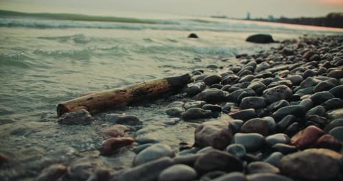 Tronco de
madera flotante quemado arrastrado en la orilla de una playa poco profunda con olas chapoteando contra las rocas. Wildfire Af