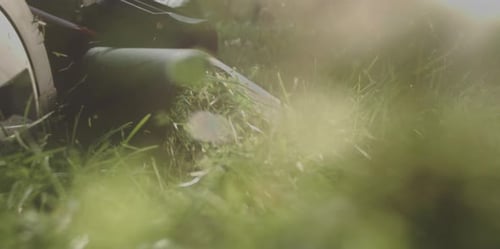 Tondre le gazon avec une tondeuse à gazon