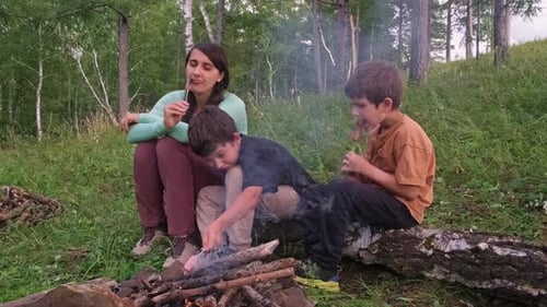 Woman and Boys Roasting Sausages Over Campfire in Forest