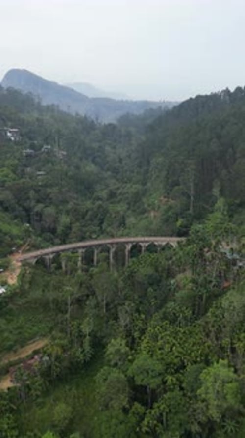 Vue aérienne du pont à neuf arches de Demodara, Ella, Sri Lanka