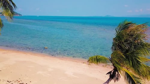 Tropical sand beach with palm trees in sunset, sunrise, aerial dolly shot flying through the trunks,