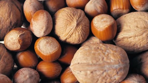 Various Nuts Closeup