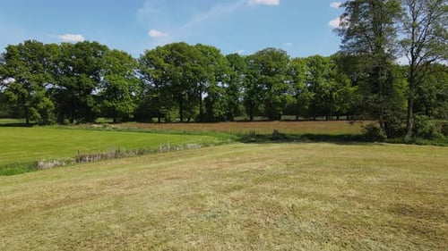 Idyllic Green Field Landscape on Sunny Day