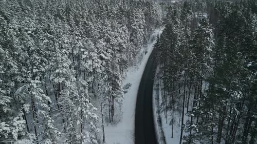 Stunning Aerial View of a SnowCovered Forest Landscape and the Winding Road Through the Scenic Area