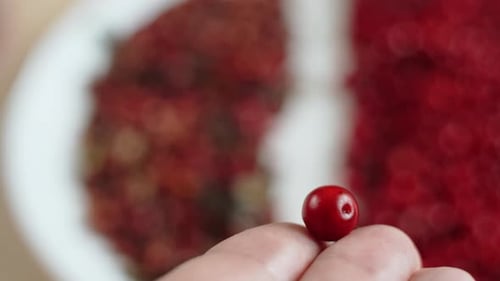 L'airelle rouge s'approche de l'assiette avec une bande blanche nettoyée et roule vers le bas