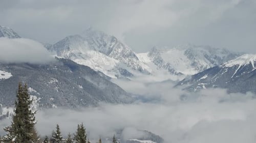 Snowy Forest Stretches Toward Misty Mountain Tops in Peaceful Winter Landscape Scene