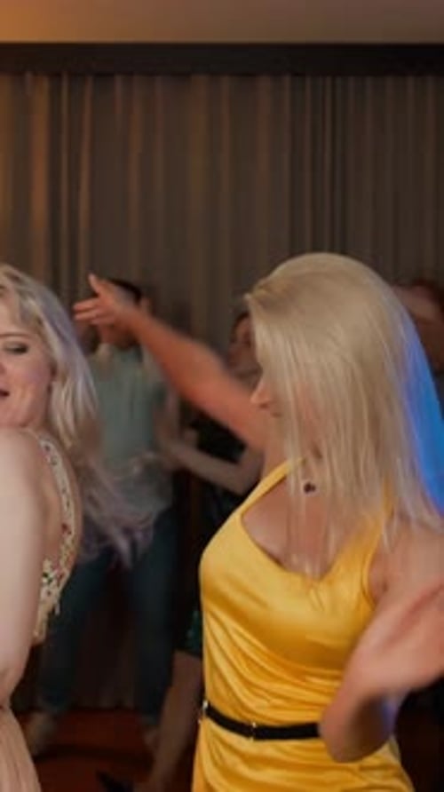 Vertical of Two Attractive Sexy Girls Dancing at Party with Her Friends Behind