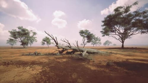 Realistic Arid Landscape with Scattered Trees Under Cloudy Sky