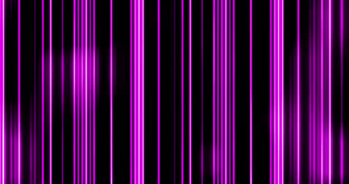 Animated Pink Neon Lines Moving Abstract Background