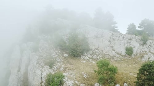 Mountain landscape. Stone rock on top of a mountain in fog with coniferous trees
