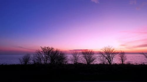Drone Silhouette Of Tress With A Bright, Beautiful Pink Sunrise In Winter Over The Sea.
