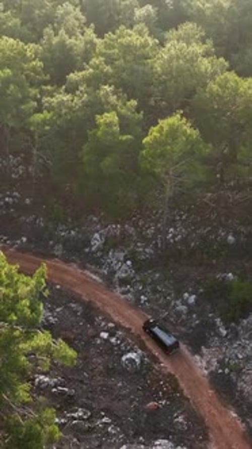 Vertical Video Cinematic Retreat Luxurious Black Car Driving Through the Mystical Green Forest