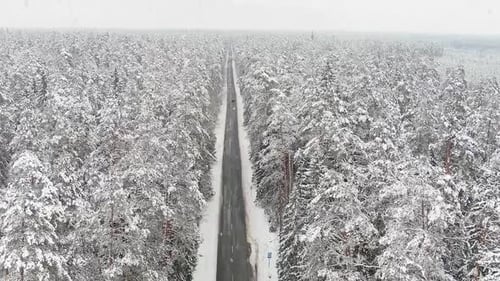 Christmas feel woodland landscape and road during snowfall, aerial view