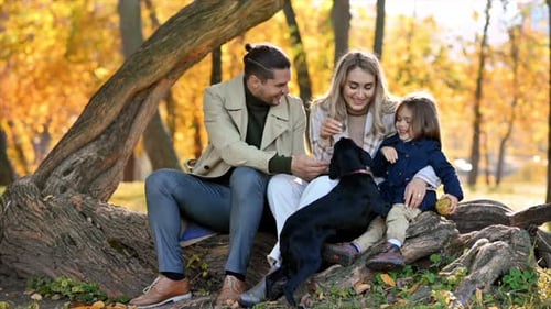 Happy family in an autumn park. Mother, father and daughter sitting on a tree trunk, black dog, yell