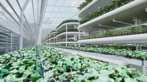 Modern Vertical Farm Animation for Sustainable Agriculture
