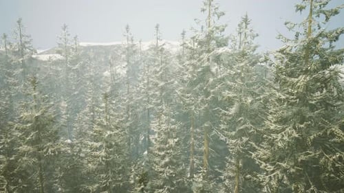 A Snowy Forest with a Majestic Mountain in the Background