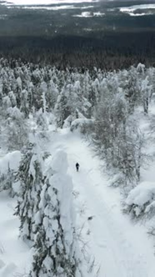 Extreme Winter Sports Concept Hiker is Lost in Snowy Forested Mountains Clip Lonely Man Traveler