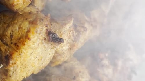 Roasting Pork on the Grill Smoked Kebabs on an Open Fire Fried Meat Vertical Video