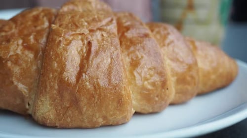 Fresh Baked Croissant on Plate with Copy Space
