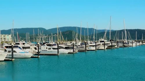 A variety of bats are moored in the tranquil waters off far North Queensland's Airlie Beach which i