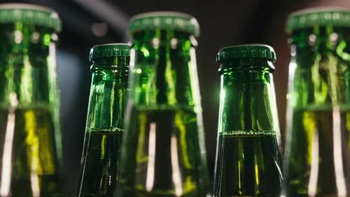 Rangée de bouteilles de bière dans le réfrigérateur, la boutique ou l'hôtel, Cold Lager, magasin de bière allemande artisanale ou de cidre, supermarché