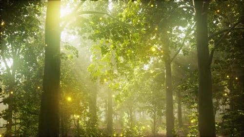 A Forest Filled with Lots of Green Trees