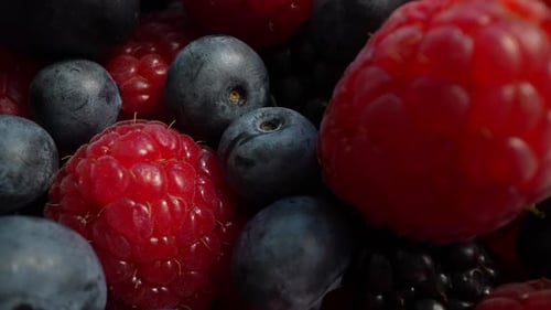 Close Up of Fresh and Ripe Mixed Berries