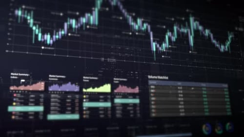 Business Info 03