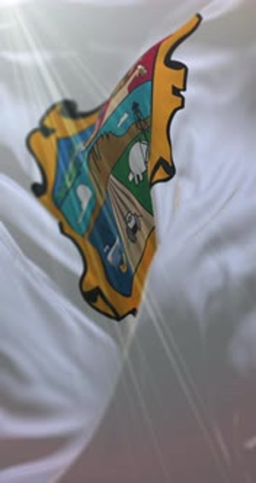 Bandera de Tamaulipas